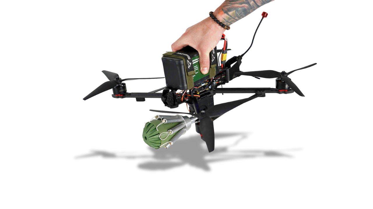 Система протидії БпЛА Сіткомет Пташка на FPV